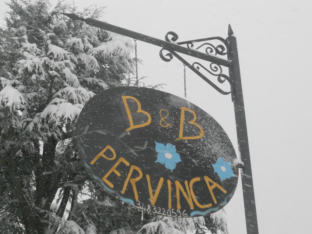 B&B Pervinca Rocca Grimalda Exteriör bild