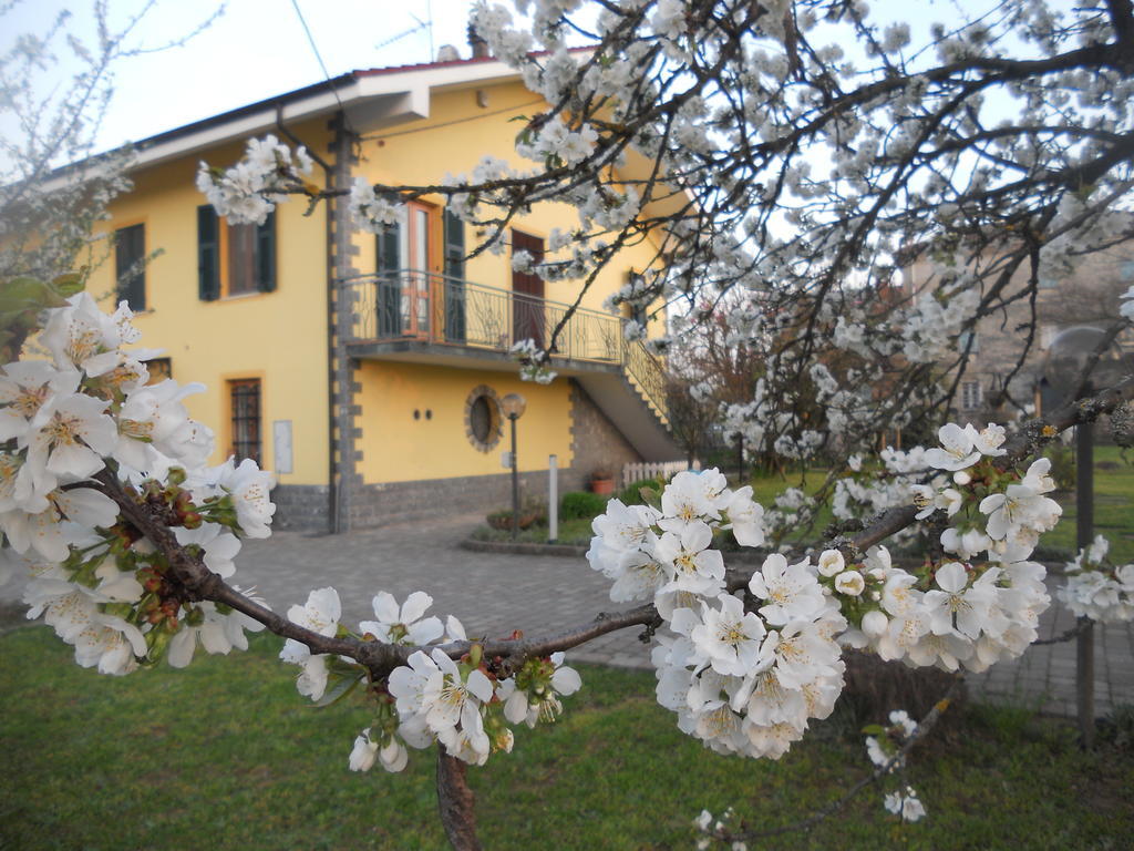 B&B Pervinca Rocca Grimalda Exteriör bild